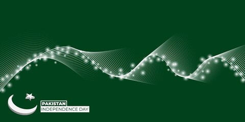 Pakistan Independence Day design with little light design and flying line.