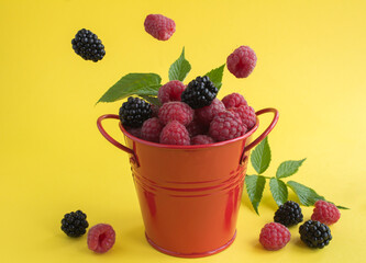 Close-up on raspberry and blackberry in the red bucket on the yellow  background