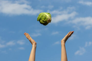 Person is throwing up a whole white cabbage in the air.