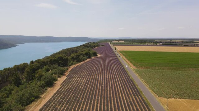 Lac de Sainte-Croix et champs en &eacute;t&eacute; - Provence