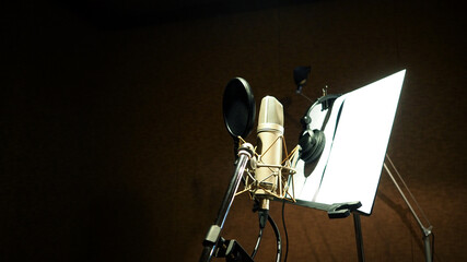 Microphone with shock mount and pop filter. Sound studio microphone for recording announcer or DJ...