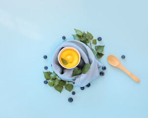 Summer, eco friendly, food composition with yellow, homemade, fruit ice cream, blueberries, lief...