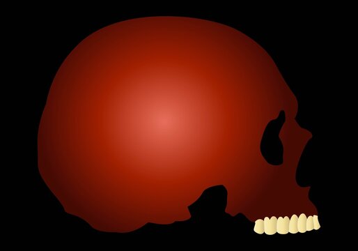 Cráneo rojo con dientes o dentadura sobre fondo negro. Antropología. Psicología. Neurociencia