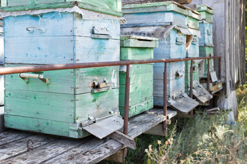 Beehives in an apiary in a field
