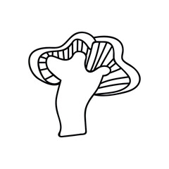 Single hand drawn chanterelle mushroom for autumn decoration. Doodle vector illustration. Isolated on a white background.