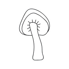 Single hand drawn mushroom for autumn decoration. Doodle vector illustration. Isolated on a white background.