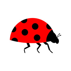 Ladybug isolated. Red small bug. beetle vector illustration