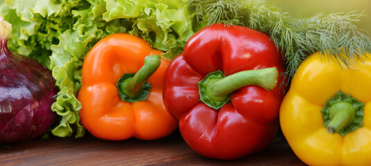 Fototapeta na wymiar Colorful sweet bell peppers, salad, dill, onion on wooden background.Healthy vegetarian food.Vegetarian eating concept