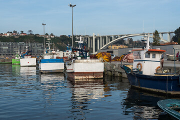 Barcos em Vila Nova de Gaia