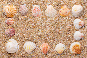 seashells in the sand rectangular border
