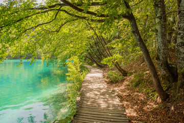 Wooden path with crystal clear blue water. green forest. summer time at Plitvice Lakes in Croatia