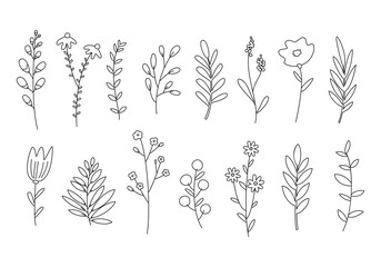 Set of outline сartoon flowers, plants and branches.