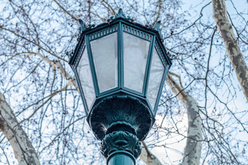In European winter, trees with their dry branches add a bucolic air to the urban setting.