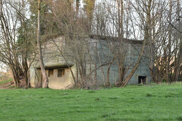 Old concrete bunker or fallout shelter among tress that was made to prepare Switzerland for war or...
