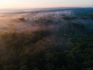 Fototapeta na wymiar Tarusa Oka River 2021 Morning 5 am sunrise fog 