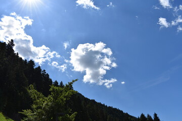 Obraz premium Blue cloudy sky with sun and trees