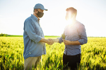 Farmer and agronomist shake hands after green wheat fields. Ripe harvest. Sunset. Spring landscape.