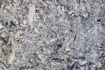 background of gray ash from a campfire with burnt wood