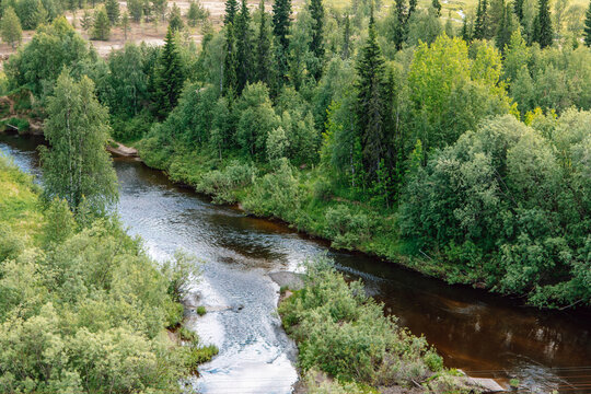 Forest River. Beautiful wild places. Nature of the North