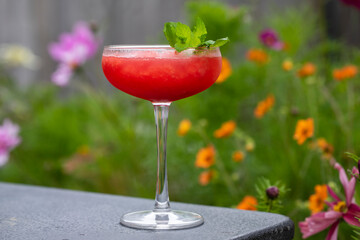 Watermelon and mint cocktail in the garden