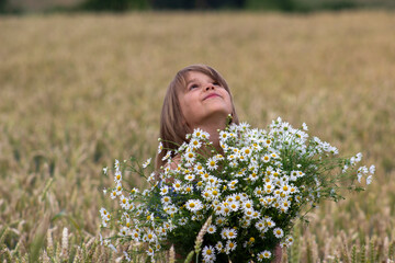 Naklejka na ściany i meble Little girl on a wheat field with chamomile flowers.