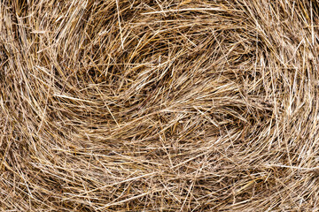 Botte de paille