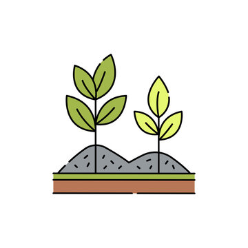 green plants growing in soil clip art preview