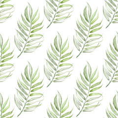 On a white background is a tropical leaf.Made in watercolor technique.the Leaves are light green.
