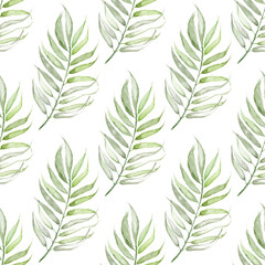 On a white background is a tropical leaf.Made in watercolor technique.the Leaves are light green.