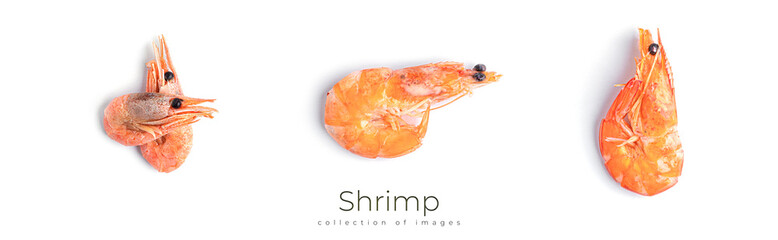 Shrimps isolated on a white background. Prawns isolated.
