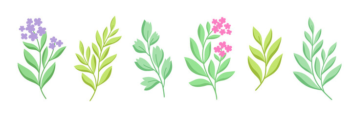 Vector set of floral elements design.  Modern illustration with leaves for template, logo, print design, social media.