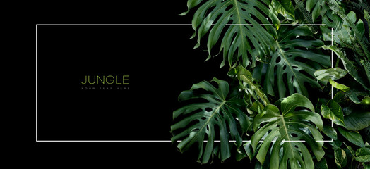 Jungle banner template with lush green tropical leaves. template design for organic cosmetics, skin care, spa or beauty salon