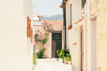 Fototapeta premium Sunny narrow street in old village Omodos on Cyprus. Stone walls and vibrant green plants on a sunny day.