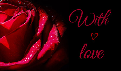 Red rose with water drops on a black background with words with love. Сoncept for greeting card, for valentine's day.