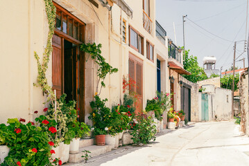 Obraz na płótnie Canvas Sunny narrow street in old village Omodos on Cyprus. Stone walls and vibrant green plants on a sunny day.
