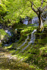 san miguel waterfall, Burgos, Spain.