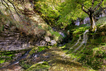 Fototapeta premium san miguel waterfall, Burgos, Spain.