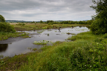 Cors Caron peat bogs