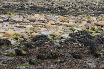 Coloured stones on pebble beach