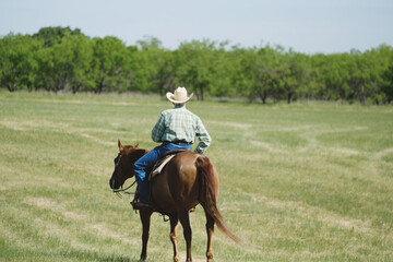 Western industry lifestyle shows cowboy during summer in rural Texas landscape with copy space on field background.