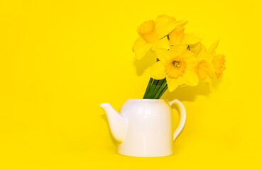 Bouquet of yellow daffodils for cards and mockup, design of leaflets and greetings, space for text. Beautiful yellow daffodils in teapot, close-up. Spring flowers, narcissus.