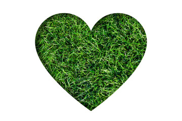 Heart shape filled with grass. Eco friendly concept. Green valentine banner. Heart made of healthy grass isolated on white