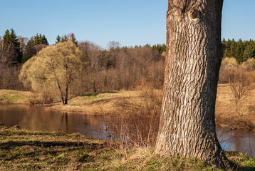 Spring landscape. River, clear blue sky and crowns of trees without leaves.