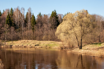 Spring landscape. River, clear blue sky and crowns of trees without leaves.
