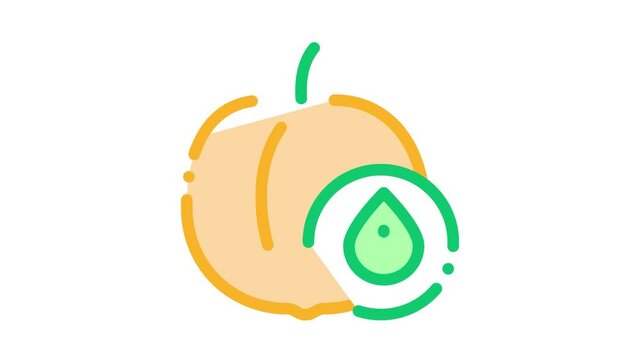 Peach Fruit Leaf Icon Animation. color Peach Fruit Leaf animated icon on white background