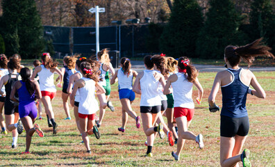 High school cross country runners running across a field