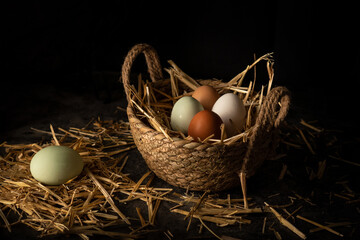 Green, white and brown organic chicken eggs in a seaweed basket on a straw nest, dark and moody food photography with black background