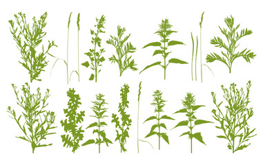 Natural herbs - wild grass - herbal silhouettes - plant set isolated on white