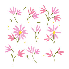 Collection of hand drawn plants. Botanical set of sketch flowers and branches, vector illustrations