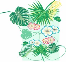 Exotic plants, flowers in jungle